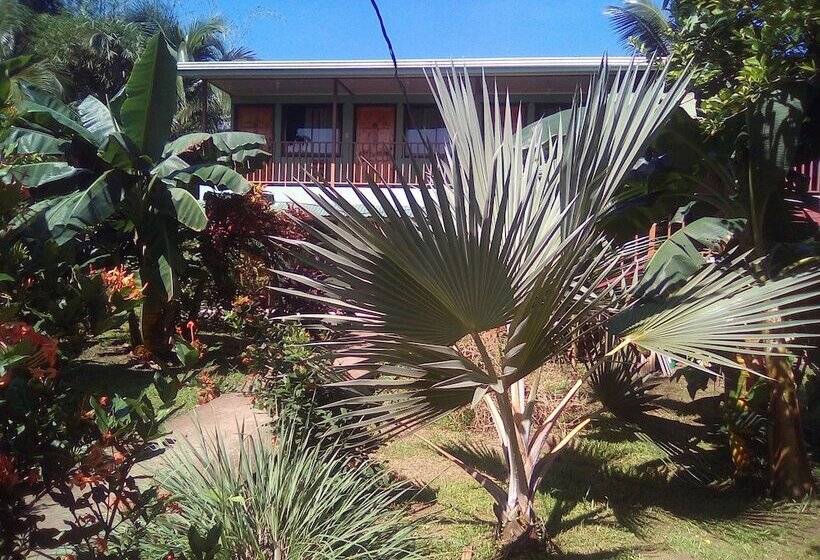 호텔 Cabinas Y Tour Aaron Tortuguero