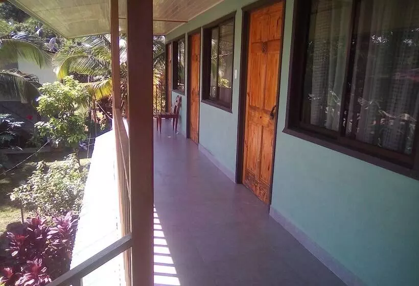 ホテル Cabinas Y Tour Aaron Tortuguero