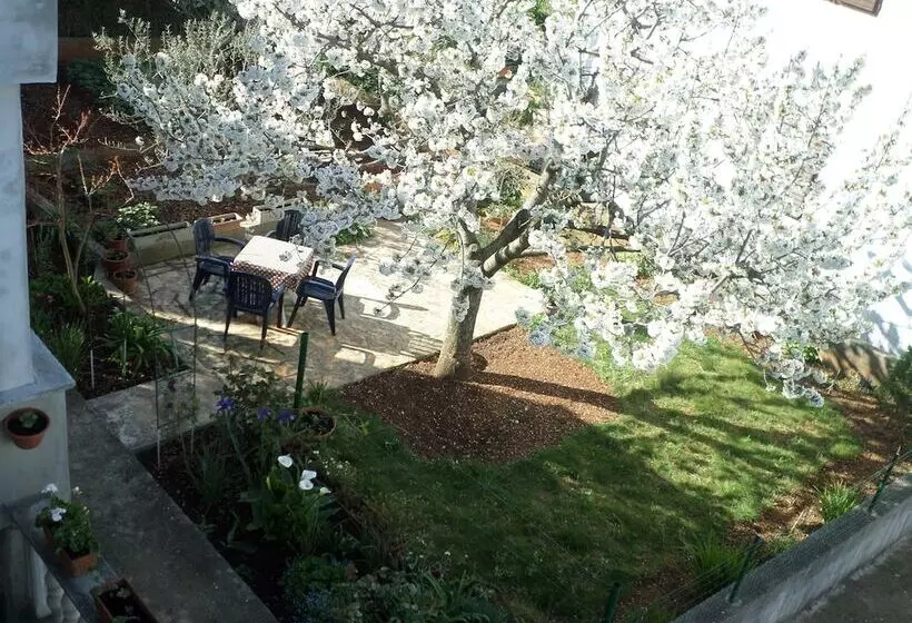 ペンション Apartments & Rooms Tea