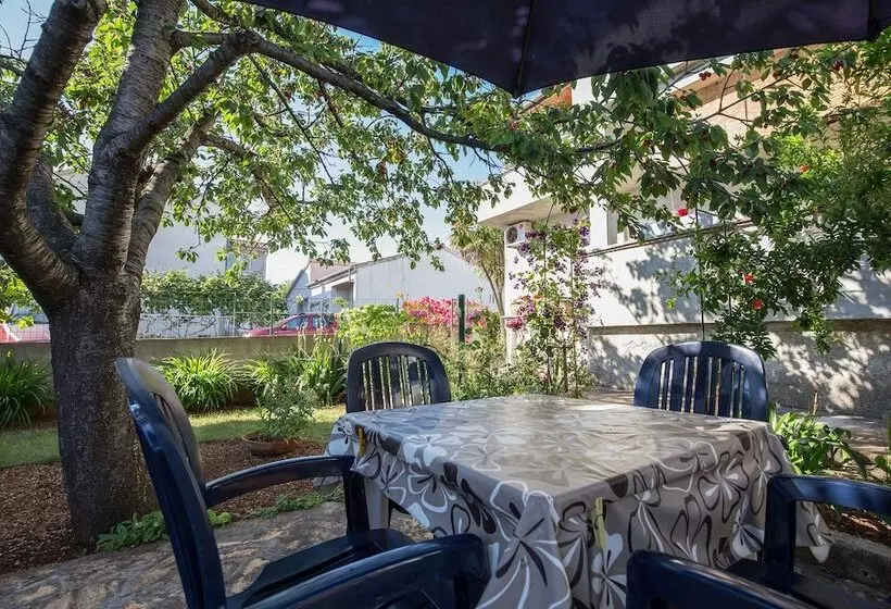 ペンション Apartments & Rooms Tea