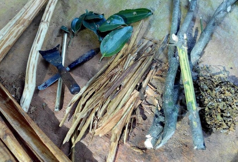 Пансион Dinstar Safari Lodge Udawalawa