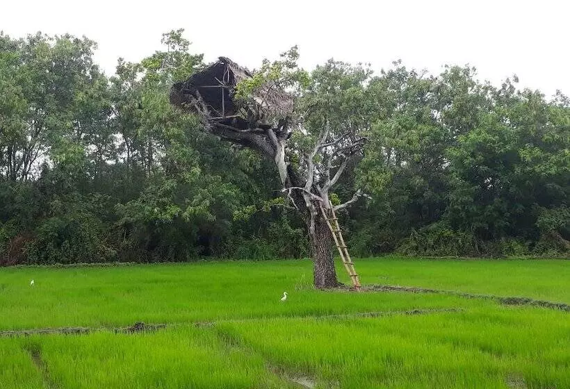 ペンション Dinstar Safari Lodge Udawalawa