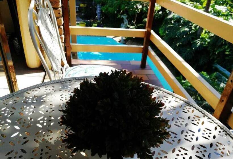 بنسيون Willow Manor Guest House Brits