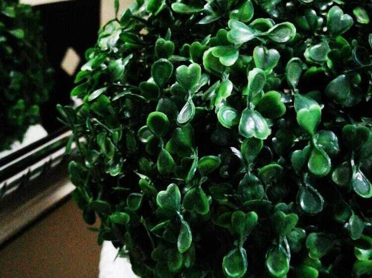 بنسيون Willow Manor Guest House Brits