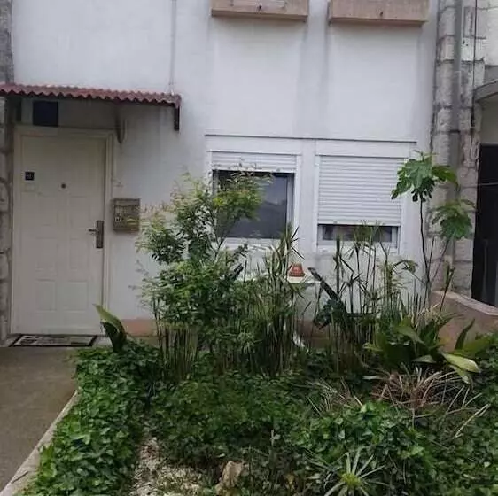 ペンション Guest House Roki & Diva