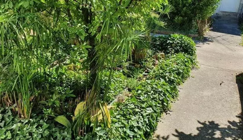 ペンション Guest House Roki & Diva