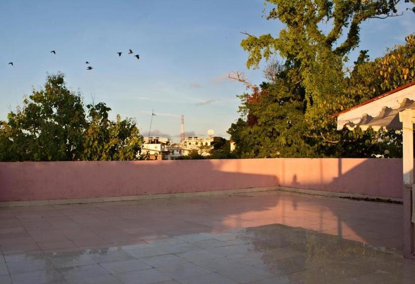 膳宿费 James' House