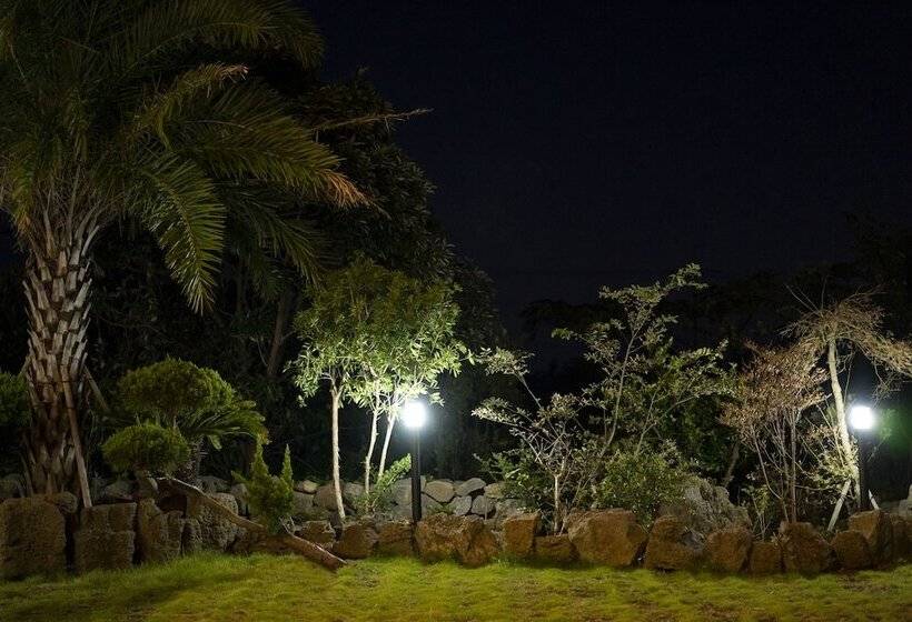 The Some Plus Onpyeong