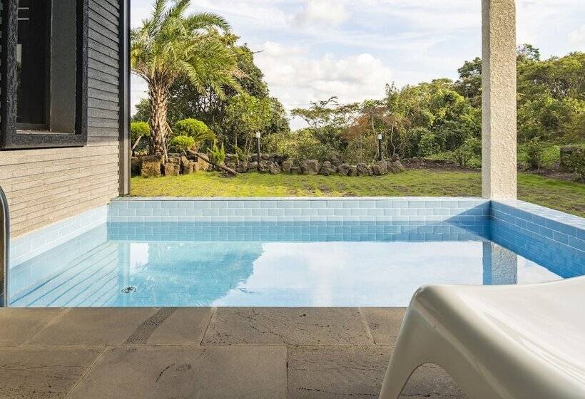 The Some Plus Onpyeong