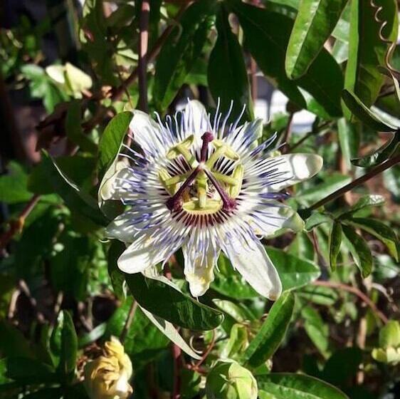 住宿加早餐  La Jouissière