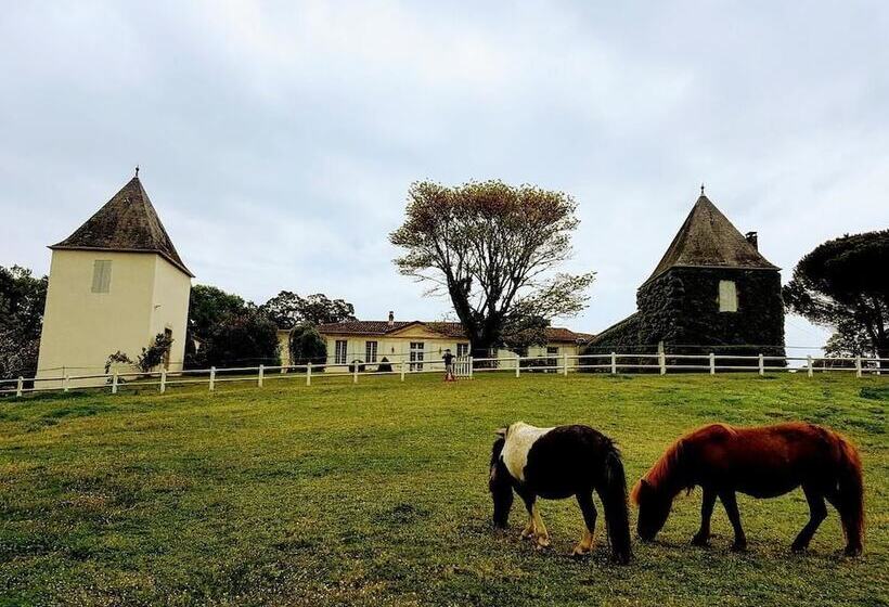 住宿加早餐  La Jouissière