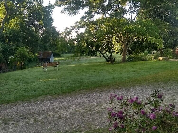 ベッドアンドブレックファースト La Maison De Pescate