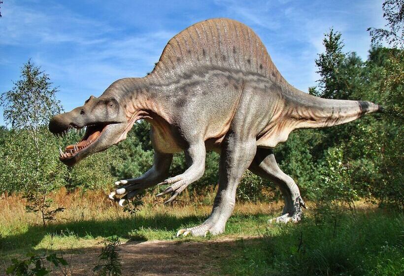 Хостел La Barbacana