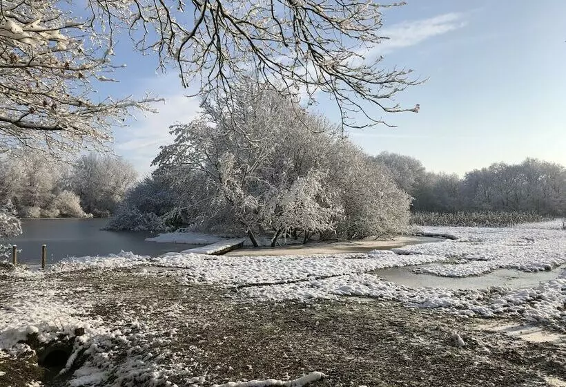 ホテル Domaine De La Motte Melleraye