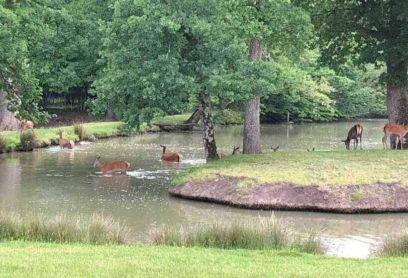 Hotelli Domaine De La Motte Melleraye