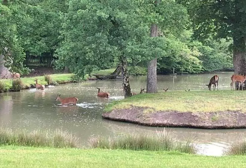 ホテル Domaine De La Motte Melleraye