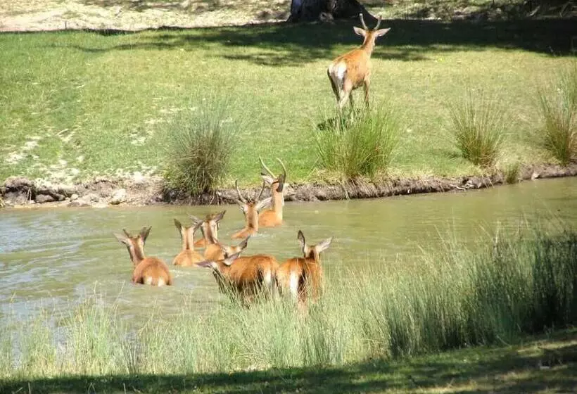 ホテル Domaine De La Motte Melleraye
