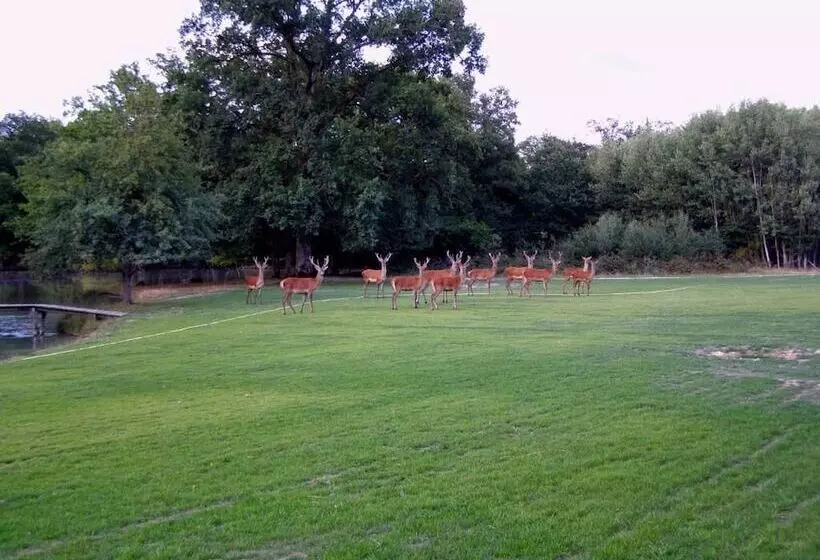 ホテル Domaine De La Motte Melleraye