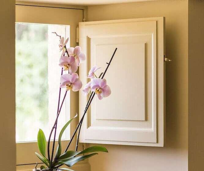 住宿加早餐 Chambres D Hôtes Château Renon