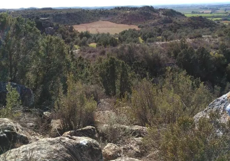 Casa Rural Los Pinos
