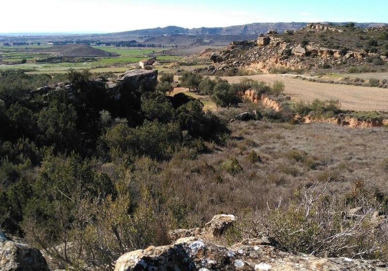 Casa Rural Los Pinos