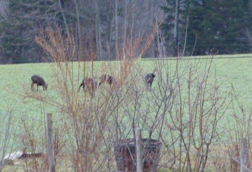 Gite Des Gorges Du Bruyant