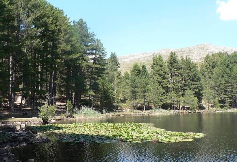 ホテル Hôtel U Pozzu