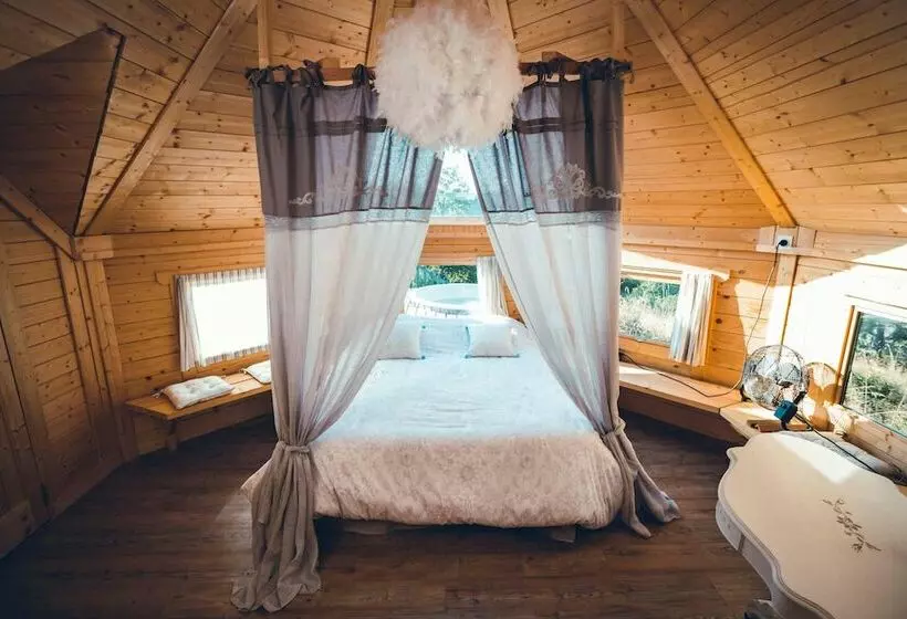 Les Insolites De Jsk