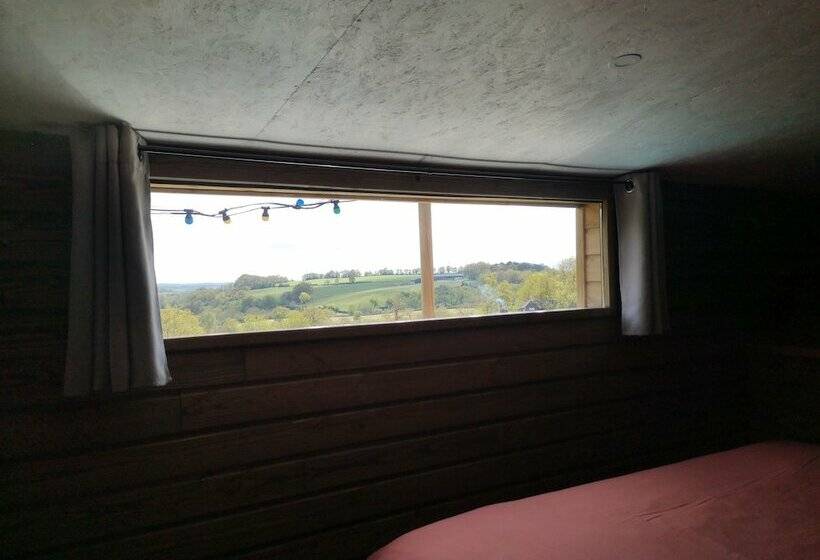 Les Insolites De Jsk