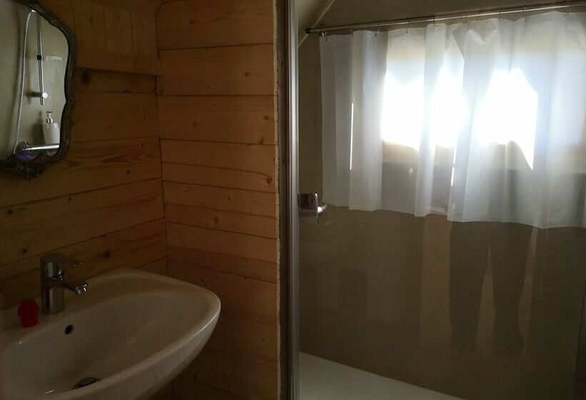 Les Insolites De Jsk