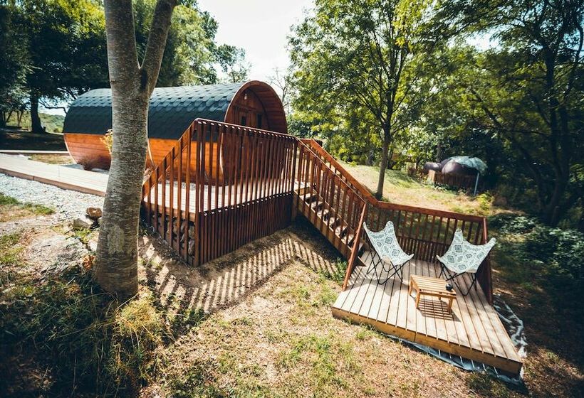 Les Insolites De Jsk