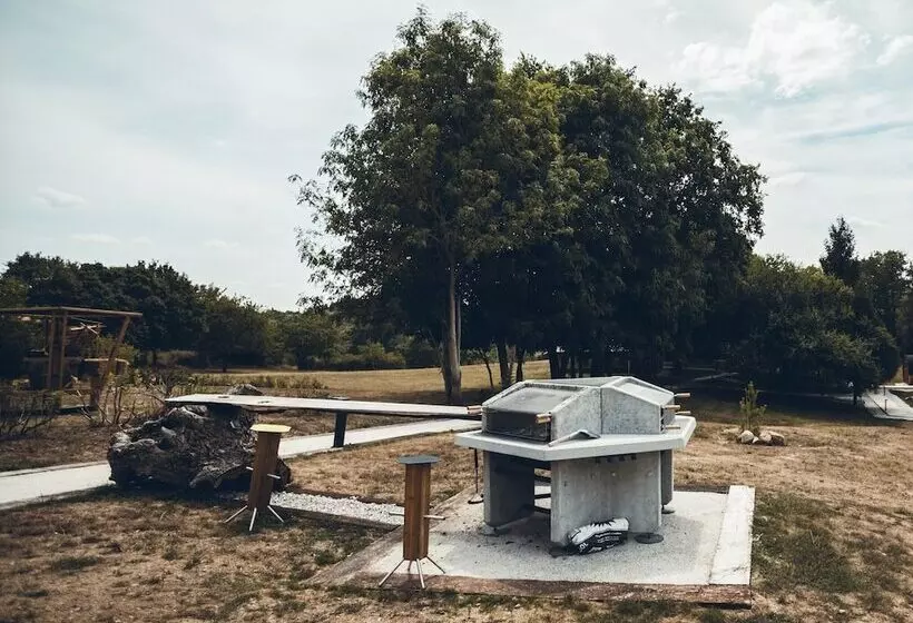 Les Insolites De Jsk