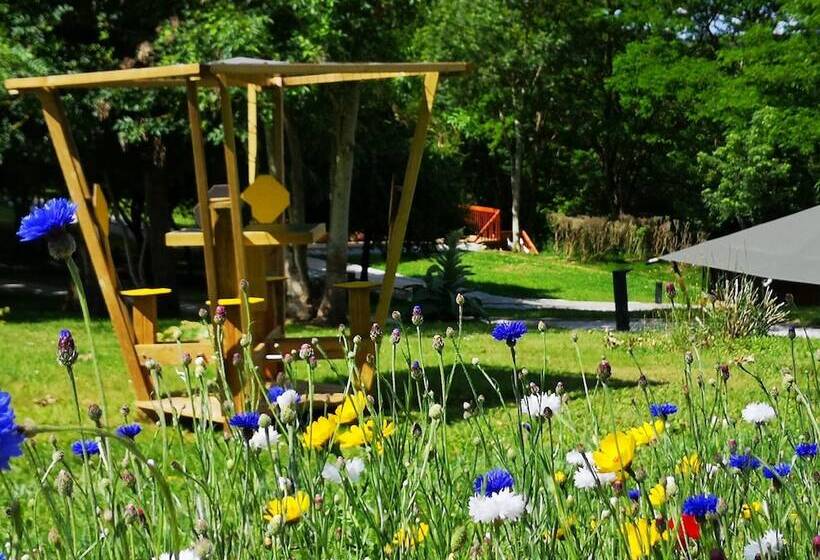 Les Insolites De Jsk