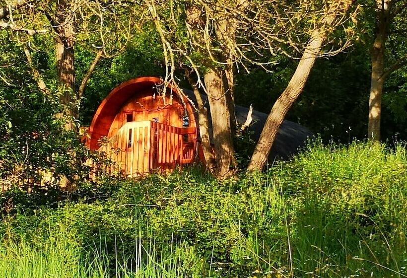 Les Insolites De Jsk