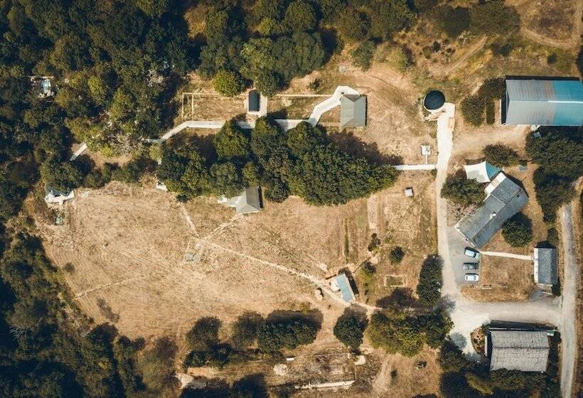 Les Insolites De Jsk