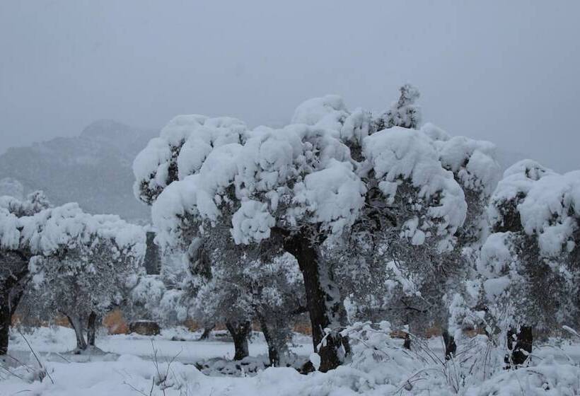 פנסיון Ca L Angels