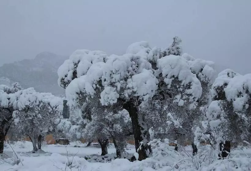 Majatalo Ca L Angels