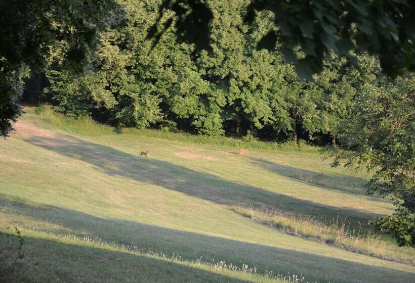 Пансион Les Hautes Sources