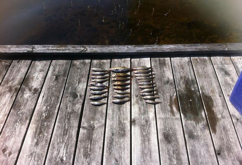 旅馆 Ivögården Mat & Vingård