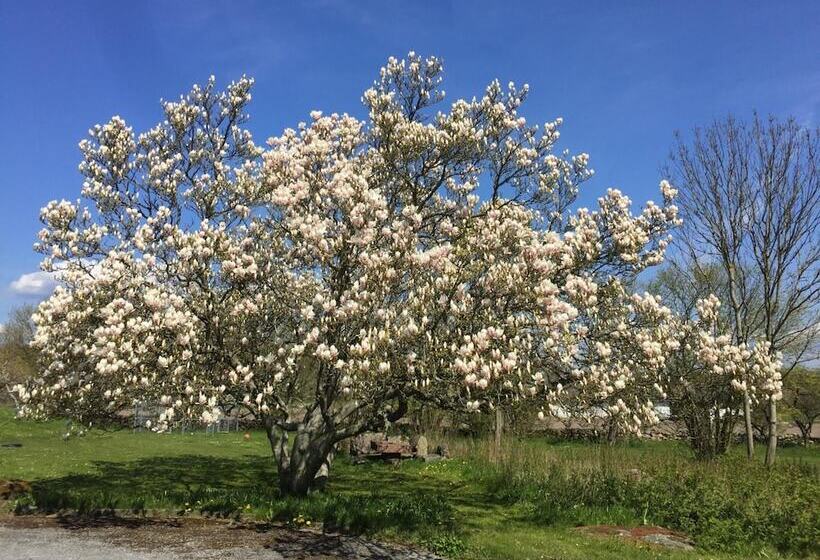 旅馆 Ivögården Mat & Vingård