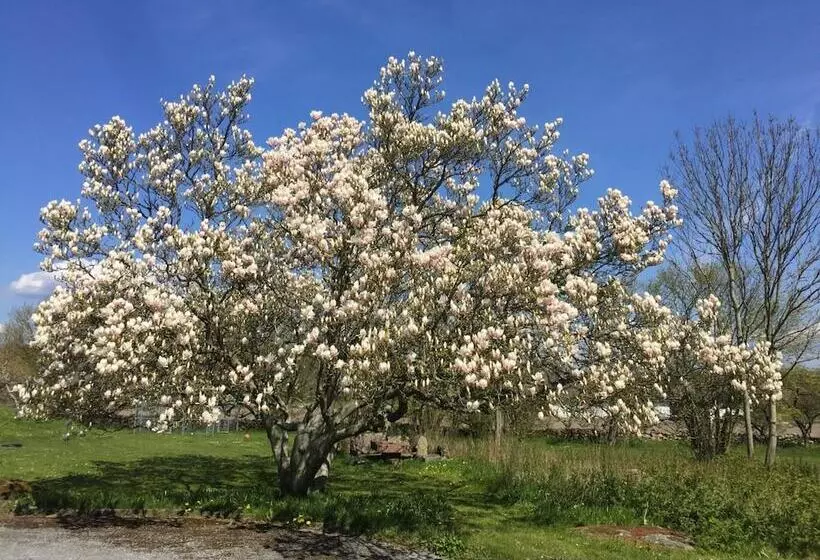 Retkeilymaja Ivögården Mat & Vingård