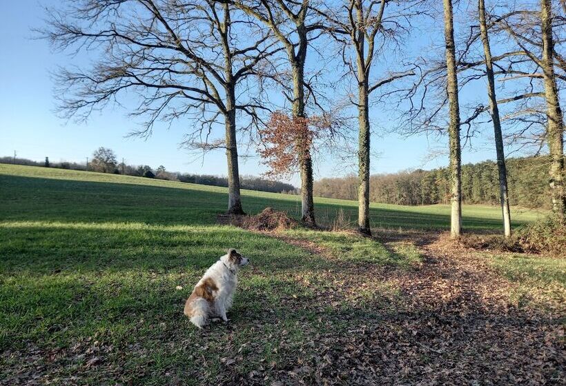 Au Pays De Jacquou : Chambre D’hôtes Et Table D’hôtes