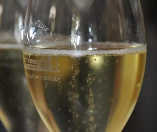 Aamiaismajoitus (B&B) Château De Cuisles