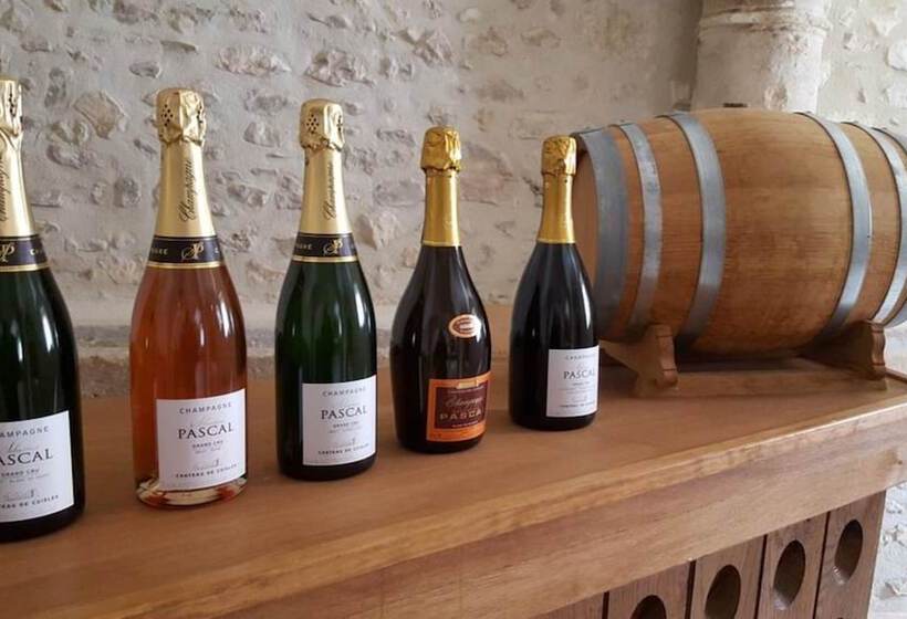 민박 Château De Cuisles