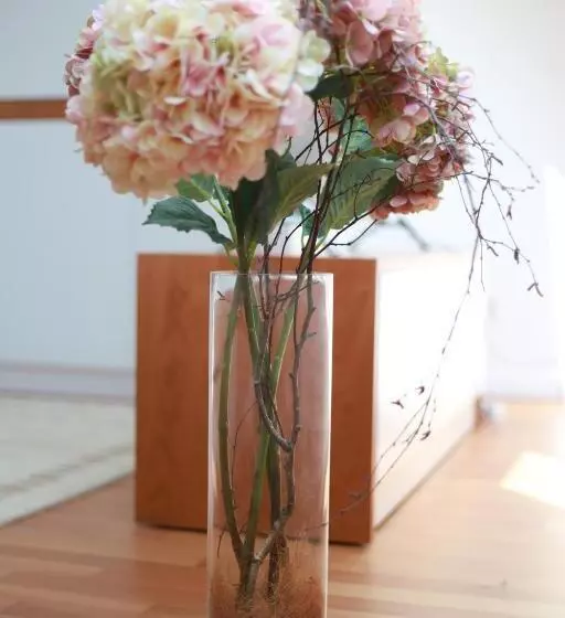 Ferienwohnungen Ries