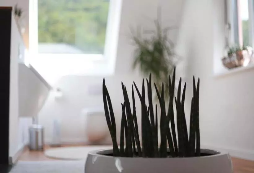 Ferienwohnungen Ries