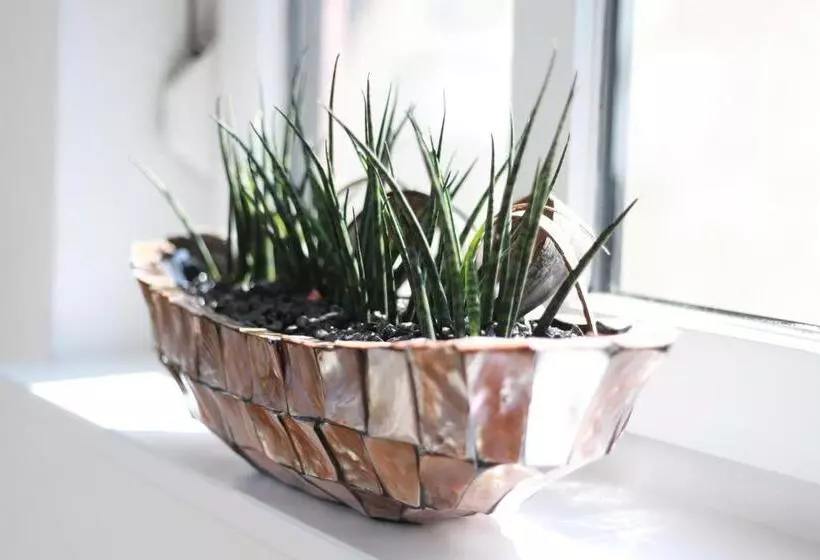 Ferienwohnungen Ries