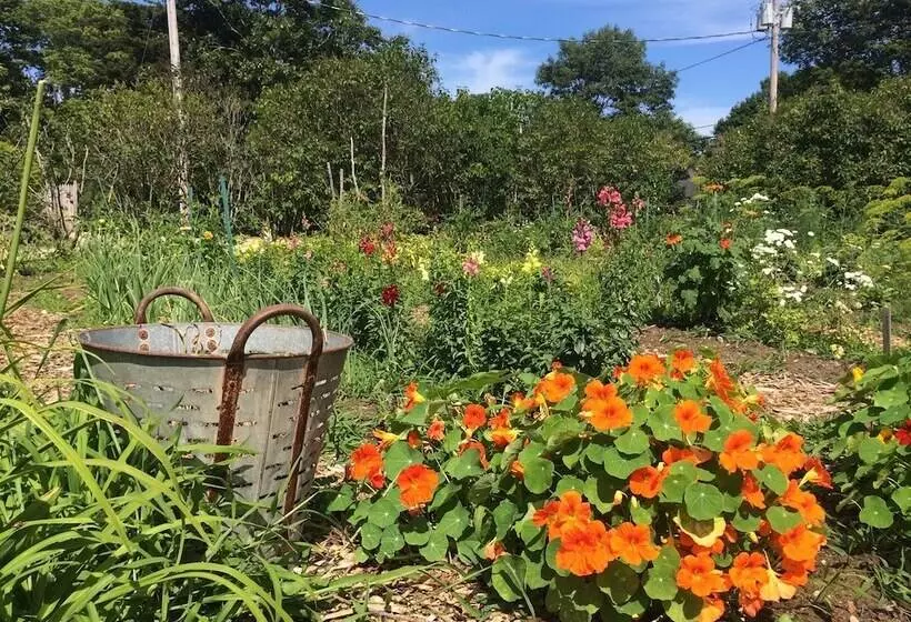 Hotelli Chebeague Island Inn