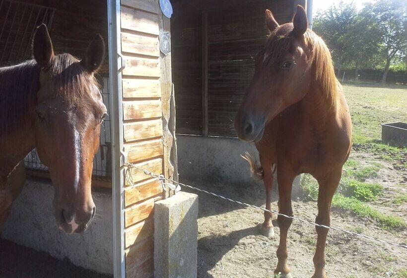 酒店 Gite Hôtel Chambre D  Hôtes Et Roulottes Et Du Ternois