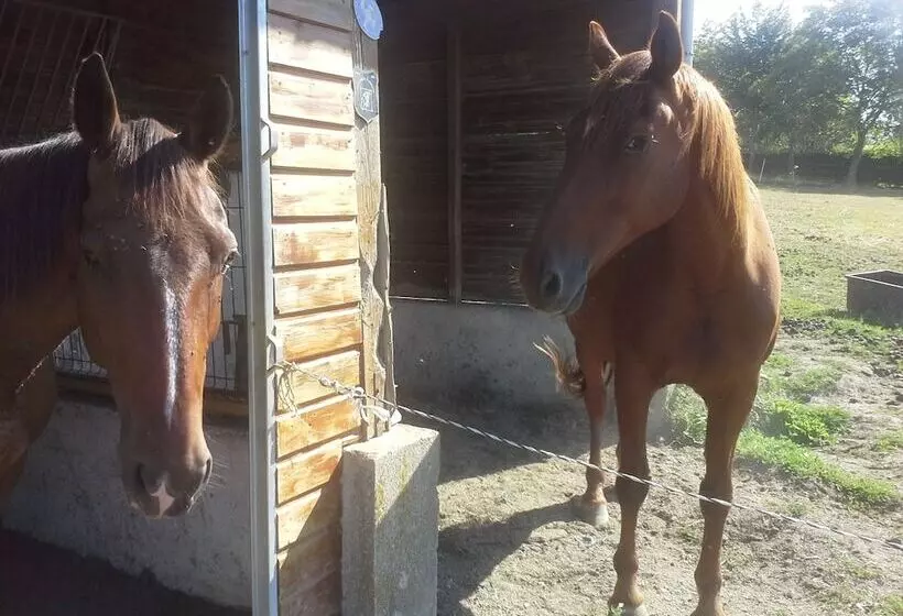 Hotelli Gite Hôtel Chambre D  Hôtes Et Roulottes Et Du Ternois